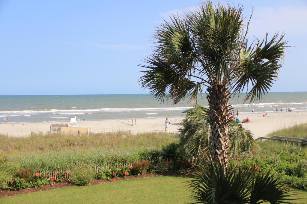 Hotel Jade Tree Cove Myrtle Beach Exterior foto